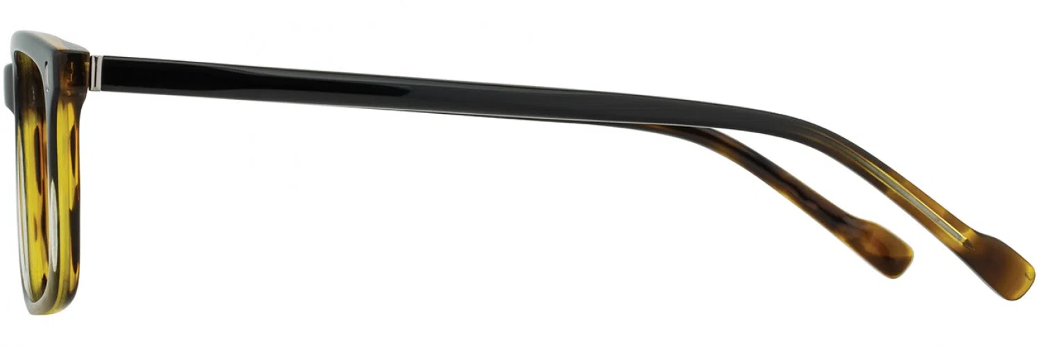 Scott Harris SH796 Eyeglasses - view 11